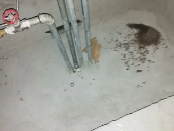 冷水滩卫生间测漏水价格明细