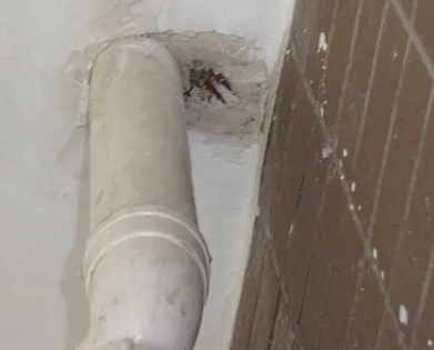 冷水滩漏水检测哪家好